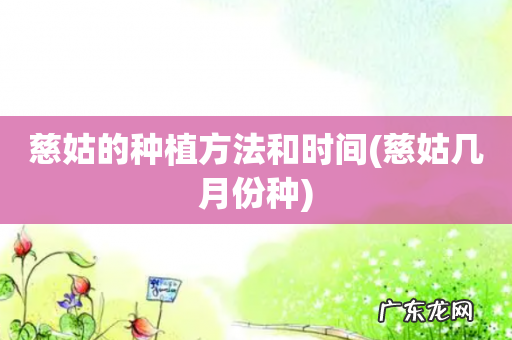 慈姑几月份种 慈姑的种植方法和时间