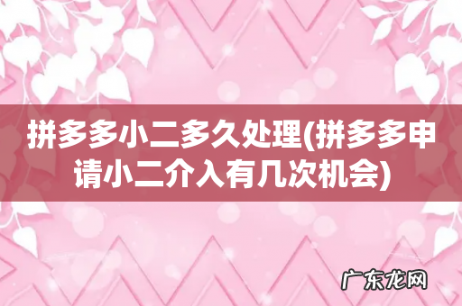 拼多多申请小二介入有几次机会 拼多多小二多久处理