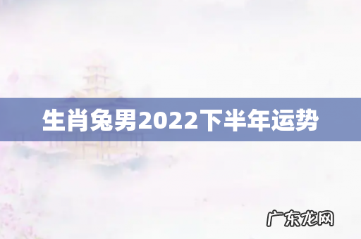 生肖兔男2022下半年运势
