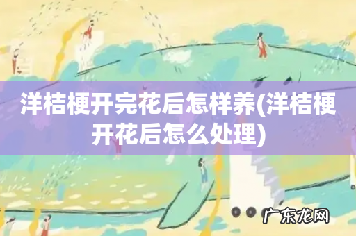 洋桔梗开花后怎么处理 洋桔梗开完花后怎样养