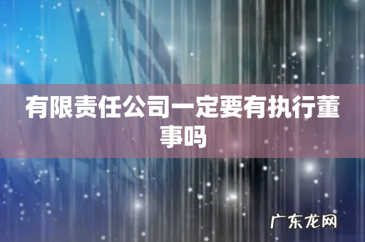 有限责任公司一定要有执行董事吗
