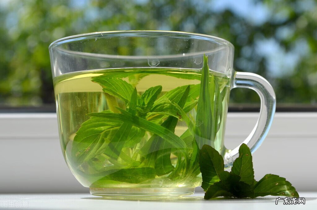 10大减肥肉类 十大减肥食品排行