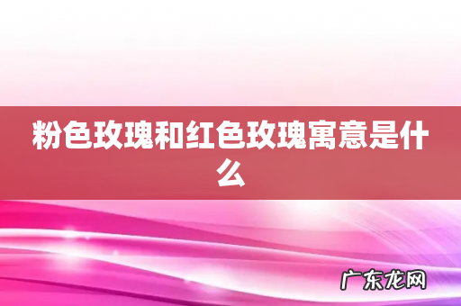 粉色玫瑰和红色玫瑰寓意是什么