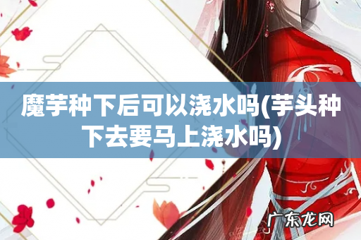 芋头种下去要马上浇水吗 魔芋种下后可以浇水吗