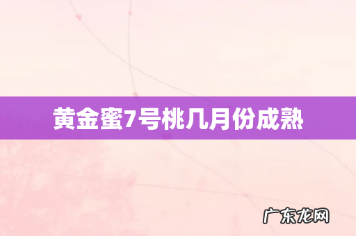 黄金蜜7号桃几月份成熟