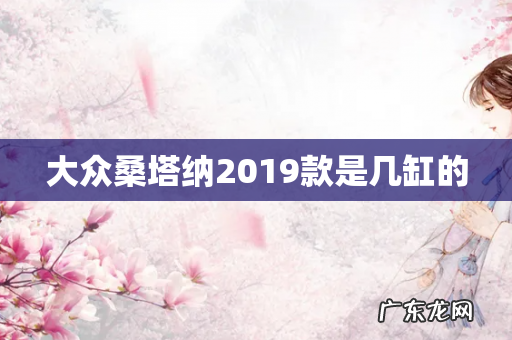 大众桑塔纳2019款是几缸的