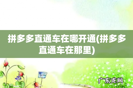 拼多多直通车在那里 拼多多直通车在哪开通