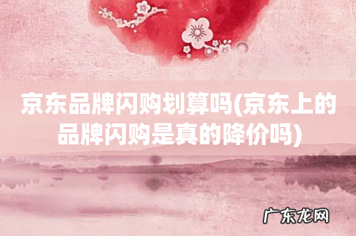 京东上的品牌闪购是真的降价吗 京东品牌闪购划算吗