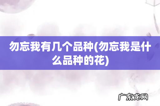 勿忘我是什么品种的花 勿忘我有几个品种