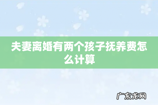 夫妻离婚有两个孩子抚养费怎么计算