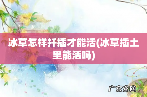 冰草插土里能活吗 冰草怎样扦插才能活