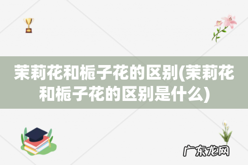 茉莉花和栀子花的区别是什么 茉莉花和栀子花的区别
