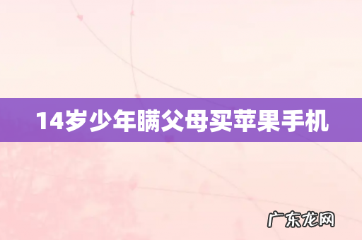 14岁少年瞒父母买苹果手机