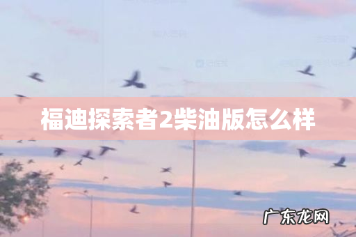 福迪探索者2柴油版怎么样