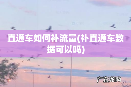 补直通车数据可以吗 直通车如何补流量