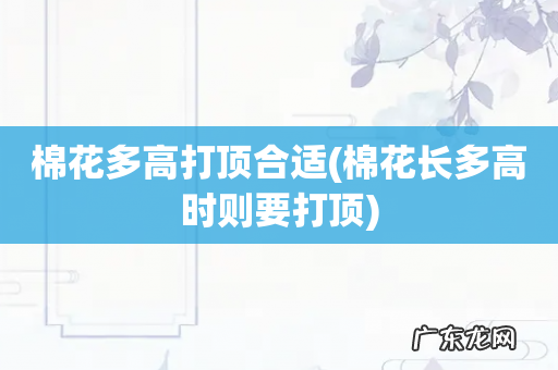 棉花长多高时则要打顶 棉花多高打顶合适
