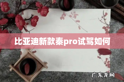 比亚迪新款秦pro试驾如何