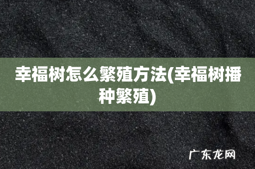 幸福树播种繁殖 幸福树怎么繁殖方法