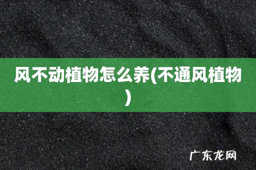 不通风植物 风不动植物怎么养