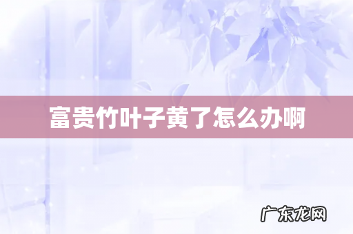 富贵竹叶子黄了怎么办啊