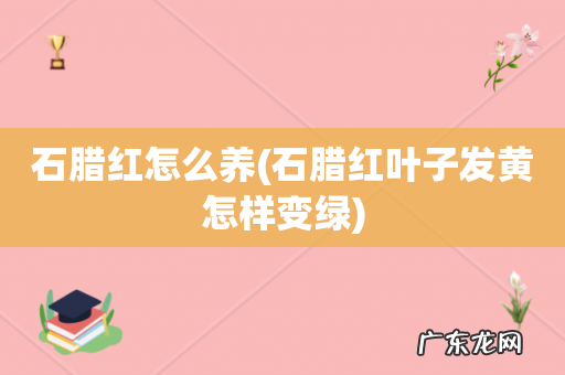 石腊红叶子发黄怎样变绿 石腊红怎么养