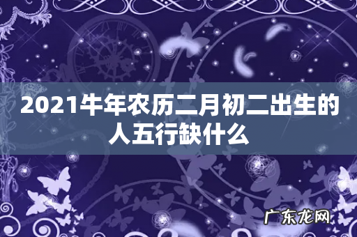 2021牛年农历二月初二出生的人五行缺什么