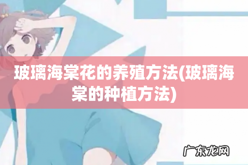 玻璃海棠的种植方法 玻璃海棠花的养殖方法