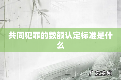 共同犯罪的数额认定标准是什么