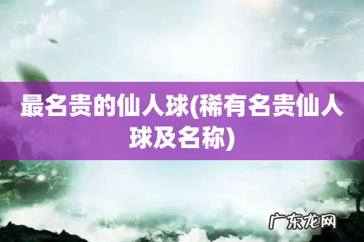 稀有名贵仙人球及名称 最名贵的仙人球