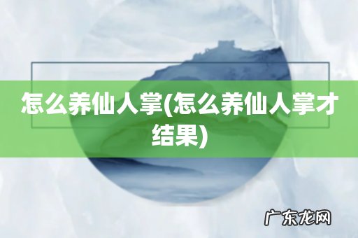 怎么养仙人掌才结果 怎么养仙人掌