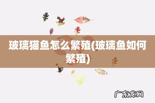 玻璃鱼如何繁殖 玻璃猫鱼怎么繁殖