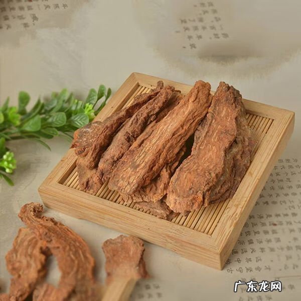 锁阳泡水喝壮阳吗 锁阳可以壮阳吗