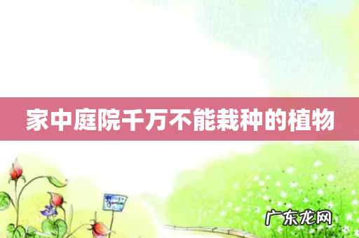 家中庭院千万不能栽种的植物