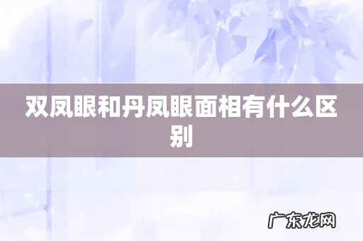 双凤眼和丹凤眼面相有什么区别