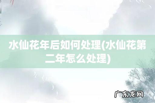 水仙花第二年怎么处理 水仙花年后如何处理