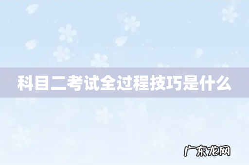 科目二考试全过程技巧是什么