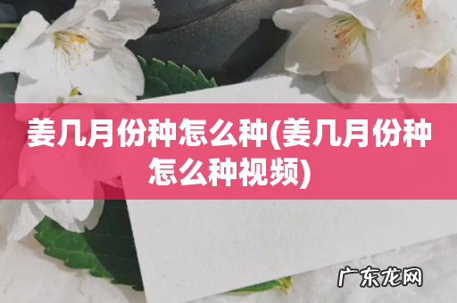 姜几月份种怎么种视频 姜几月份种怎么种