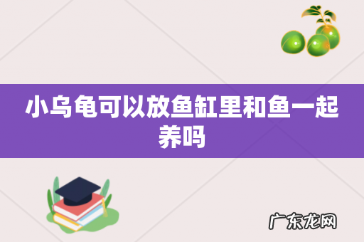 小乌龟可以放鱼缸里和鱼一起养吗