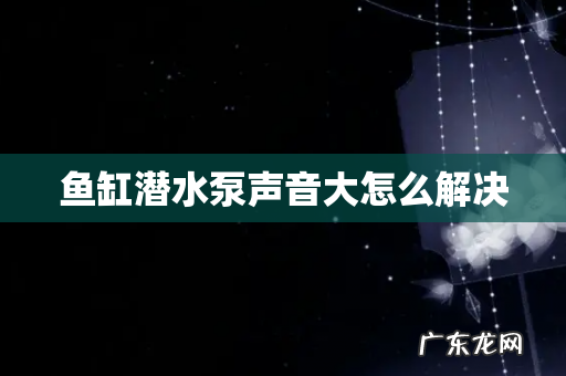 鱼缸潜水泵声音大怎么解决