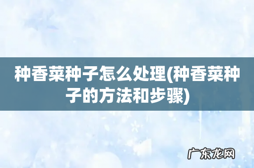 种香菜种子的方法和步骤 种香菜种子怎么处理