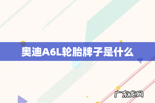 奥迪A6L轮胎牌子是什么