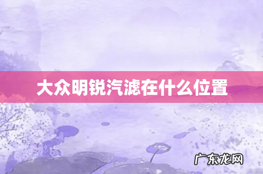 大众明锐汽滤在什么位置