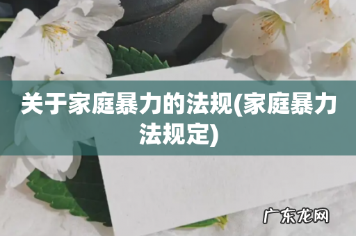 家庭暴力法规定 关于家庭暴力的法规