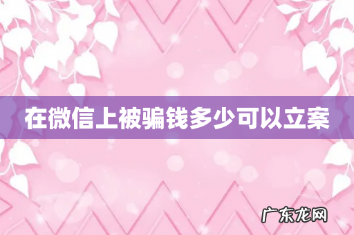 在微信上被骗钱多少可以立案