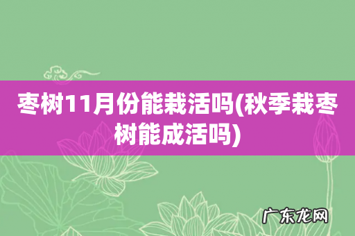 秋季栽枣树能成活吗 枣树11月份能栽活吗