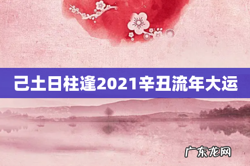 己土日柱逢2021辛丑流年大运