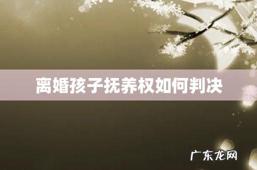 离婚孩子抚养权如何判决