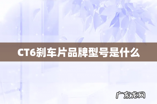 CT6刹车片品牌型号是什么