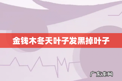 金钱木冬天叶子发黑掉叶子