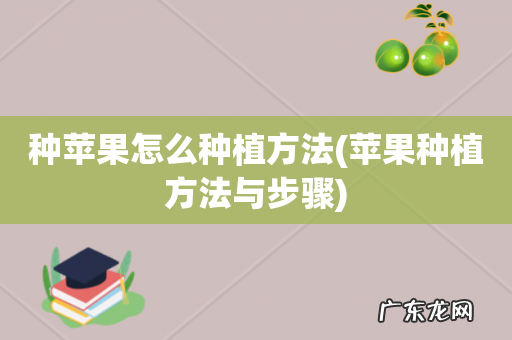 苹果种植方法与步骤 种苹果怎么种植方法